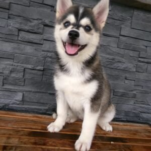 Popcorn - Available Now